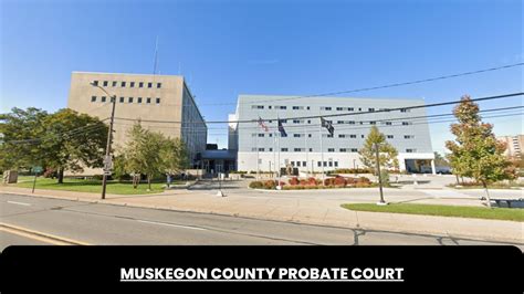 muskegon county case search|Courts 